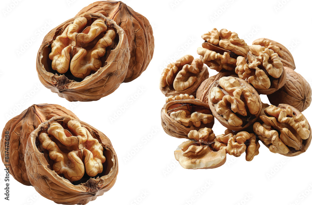walnut isolated on white background walnut isolated on white background