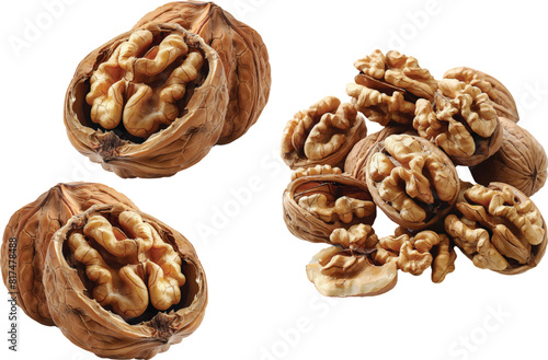 walnut isolated on white background