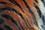An image of a tiger fur texture background - Generative AI