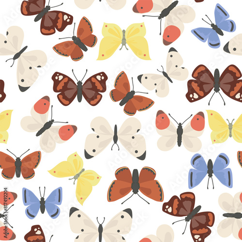 vector seamless pattern with butterflies, insects isolated at white background, natural elements, hand drawn illustration