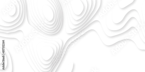 Abstract topography concept white papercut design or flowing liquid illustration for website template.
