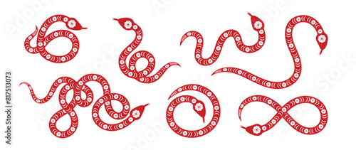 Chinese New Year snake design vector set. Element zodiac sign year of the snake with cherry blossom flower pattern on snake red color. Illustration design of background, card, sticker, calendar.