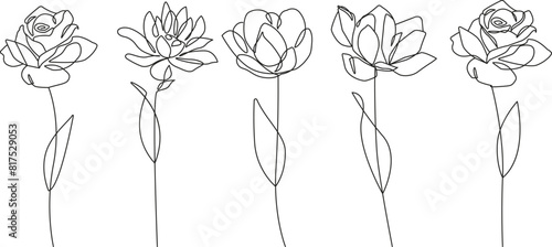 Flowers Line Art Vector Illustrations Set for Prints, Social Media, Icons. Floral Trendy Templates Minimalist Style. Set of Abstract Flowers in Line Style. Hand Drawn Doodle Template Collection