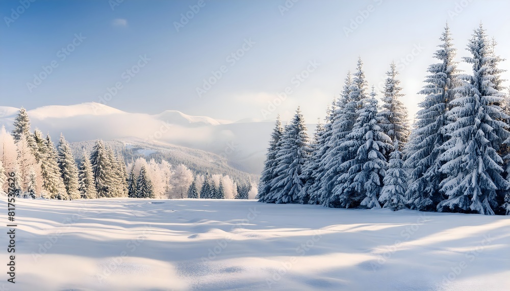 Winter scene with snow-covered trees, Snow, field, trees, winter, scene