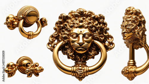 A gold-colored metal door knocker in the form of a lion's head  photo