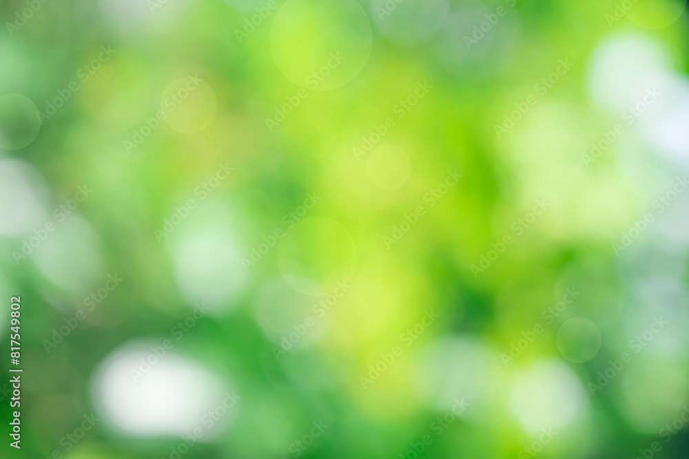 Nature blur green leaf and light abstract background. Sunlight bokeh on soft green leaf tree foliage in a park, blurred leaves forest sunny day in spring or summer, blurred nature pastel background Nature blur green leaf and light abstract background. Sunlight bokeh on soft green leaf tree foliage in a park, blurred leaves forest sunny day in spring or summer, blurred nature pastel background