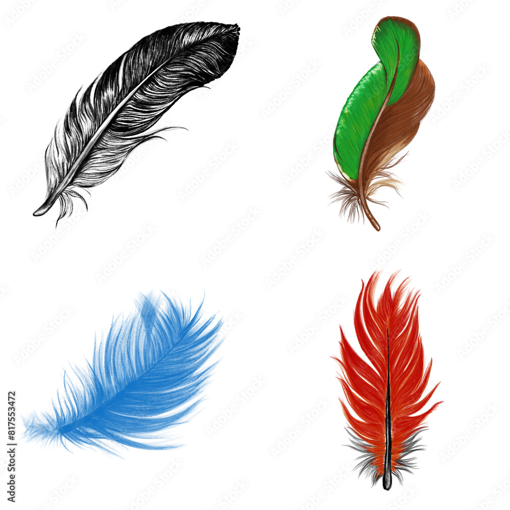 Obraz premium A set of fluffy bird feathers in various shapes and sizes, like a painter's palette of natural quills | Digital Arts
