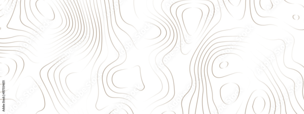 White paper wave curve relief geometric wave grid line background. . Abstract wavy topographic map and curved lines background. Vector illustration. White paper wave curve relief geometric wave grid line background. . Abstract wavy topographic map and curved lines background. Vector illustration.