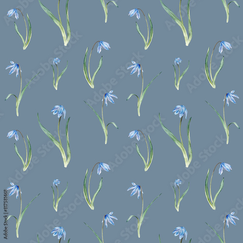 Seamless pattern of the light blue first spring flowers. Watercolor botanical illustration of delicate lilac flowers. Three scillas hand drawn isolated on white background. little bouquet.