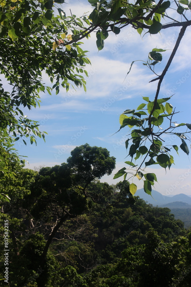 wonderful springtime landscape in mountains. grassy field and rolling hills. rural scenery wonderful springtime landscape in mountains. grassy field and rolling hills. rural scenery