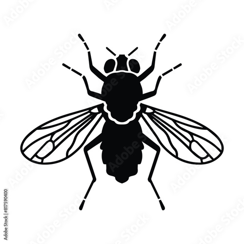 Fly insect vector illustration