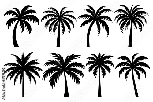 Set of palm trees silhouette isolated on white background. Vector Illustration.