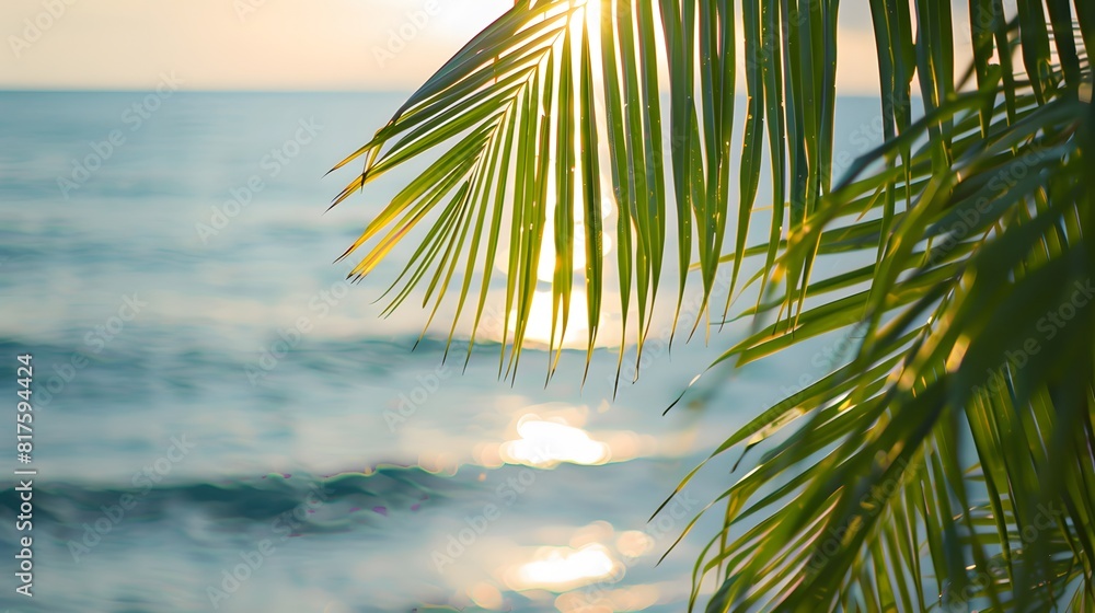 Fototapeta premium palm leaves over the sea in the early morning light