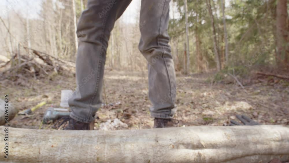 Swedish woman turn wood log with plug spawn around, mushroom cultivation process Swedish woman turn wood log with plug spawn around, mushroom cultivation process