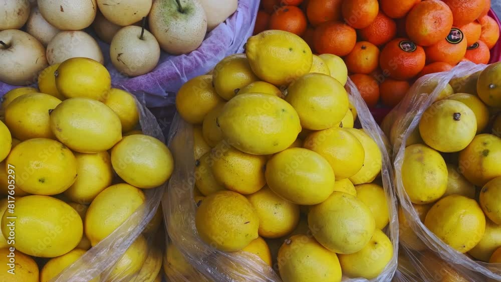 lemon harvest. many fresh lemons. lemons top view lemon harvest. many fresh lemons. lemons top view