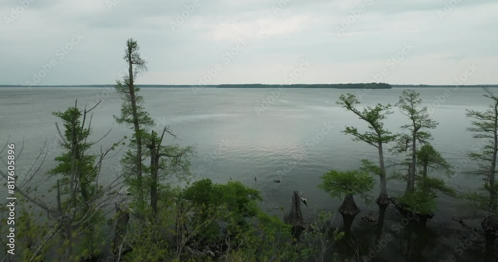 Tranquil view of Reelfoot Lake with scattered trees and calm waters at dusk, peaceful landscape Tranquil view of Reelfoot Lake with scattered trees and calm waters at dusk, peaceful landscape