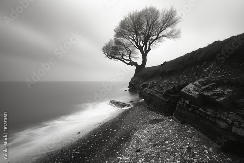 illustration in black and white, with a lonely autumn tree next to a left on the seashore, AI nonchromatic concept. photo