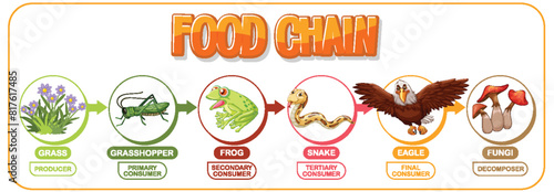 Depicts a simple food chain process