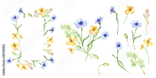 Set with yellow and blue flowers watercolor illustration isolated on white background. Celandine and cornflower in sketch. Medicinal plant collection sketch hand drawn. Design for label  package