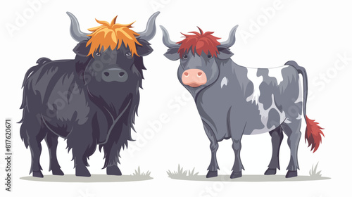 Pair of yak and cow isolated on white background. Por