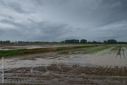 Obraz na płótnie Po Valley w salonie