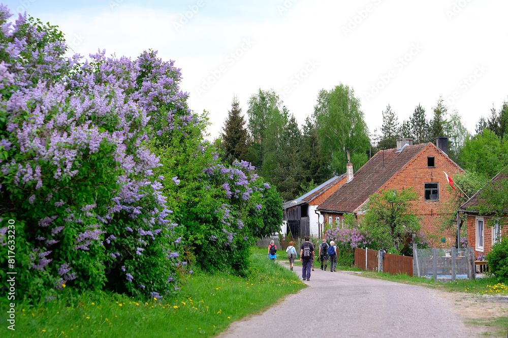 Group of hiking people on road in village in spring scenery. Warmia and Mazuria, Podlasie, Poland Group of hiking people on road in village in spring scenery. Warmia and Mazuria, Podlasie, Poland