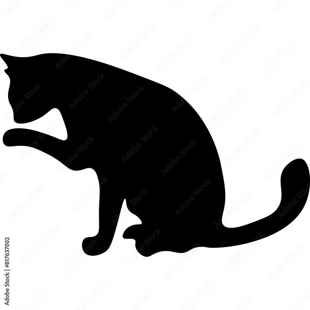 Obraz premium Cat Shilhoutte