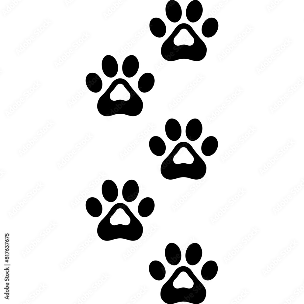 Fototapeta premium Cat Track Shilhoutte