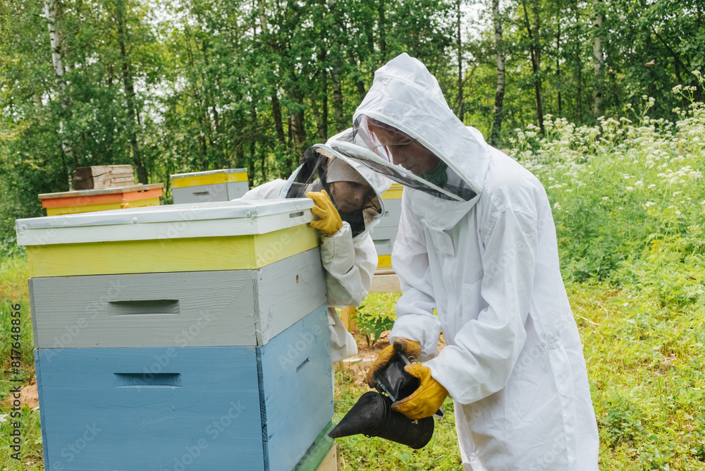 beekeepers in the garden in sunny weather takes care of the hives beekeepers in the garden in sunny weather takes care of the hives