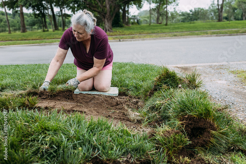 Mature woman landscaping her yard with sod photo