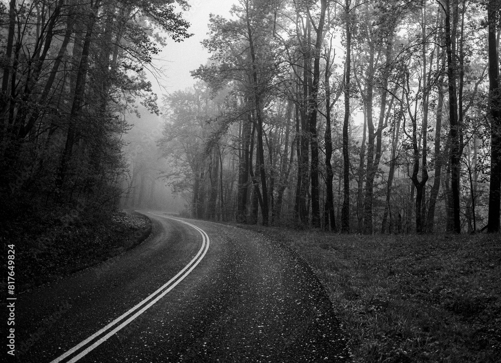 skyline drive snakes into the mist in Shenandoah National Park skyline drive snakes into the mist in Shenandoah National Park