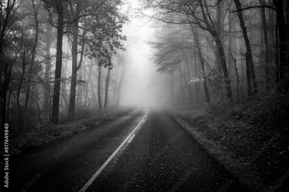 paved road disappears into misty and foggy forest, Virginia paved road disappears into misty and foggy forest, Virginia