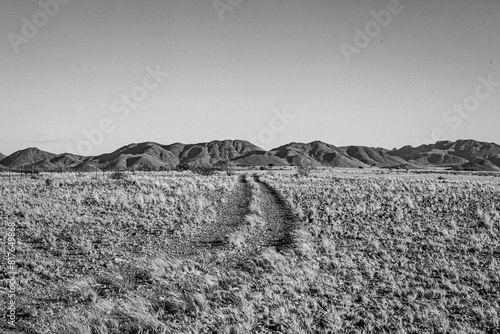 Two track dirt road stretches into barren desert, Sesreim, Namibia photo