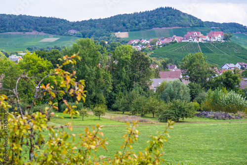 Liebliche Weingegend mit einem kleinen Bauerndorf photo