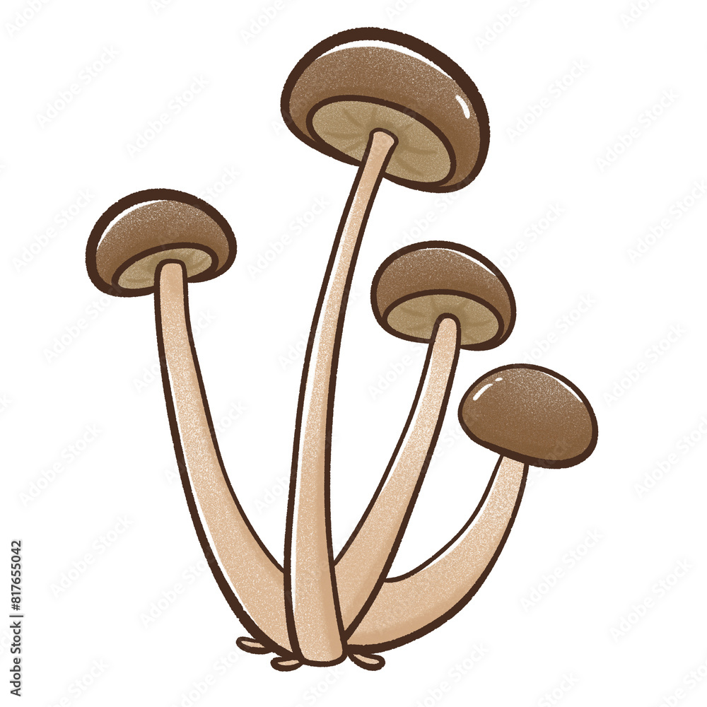mushroom mushroom