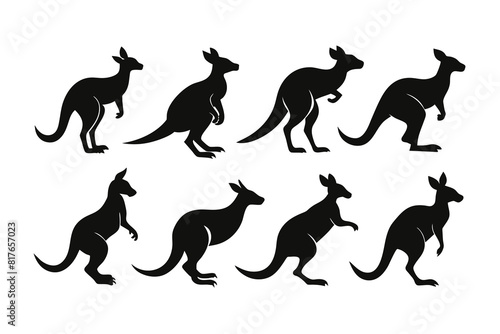 Set of kangaroo Silhouette Design and Vector Illustration on white background