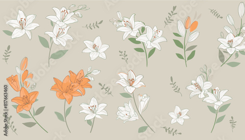白とオレンジ色の百合、花のイラストセット、植物の背景
