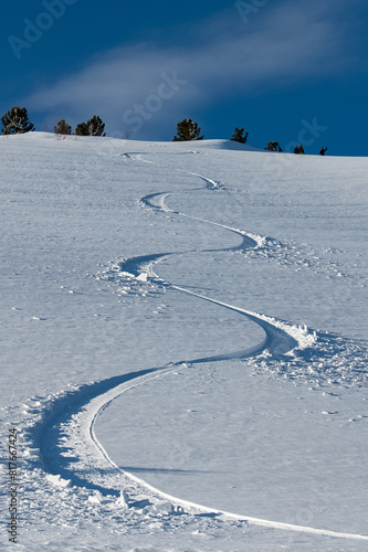 A lonely snowboarder's trail with identical smooth turns on an untouched slope against the backdrop of blue sky and tree tops