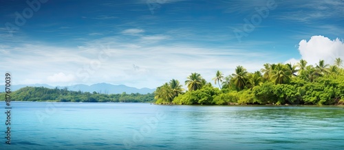 A picturesque seascape with clear blue waters and lush tropical green trees providing ample copy space for any desired image