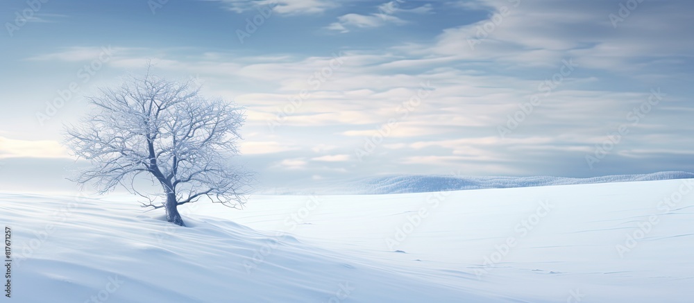 A snowy landscape provides an ideal backdrop for a copy space image A snowy landscape provides an ideal backdrop for a copy space image