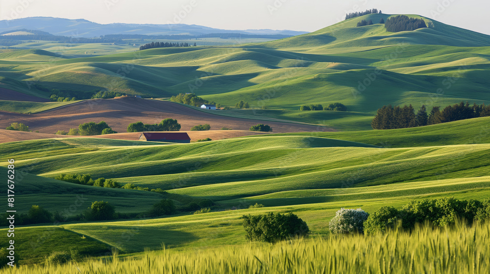 Obraz premium Scenic landscape of lush green rolling hills and farmland under a soft light