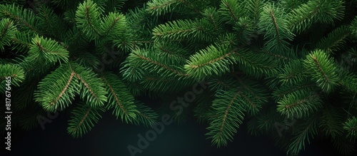 A copy space image featuring green fir tree branches in the background during Christmas