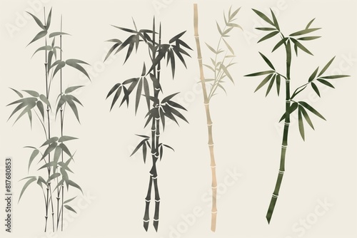 Collection of elegant. Simple and natural zeninspired bamboo illustrations perfect for spa branding. Background designs. And asianinspired decorations photo