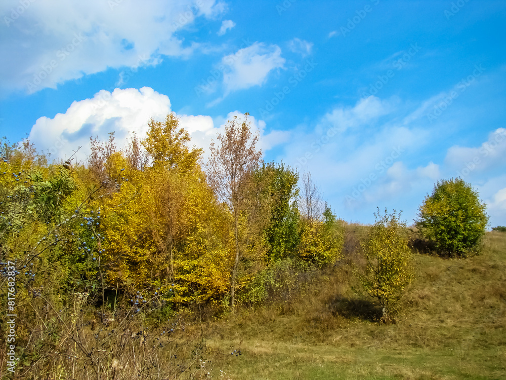 Autumn sunny day with yellow trees and blue sky. Autumn sunny day with yellow trees and blue sky.