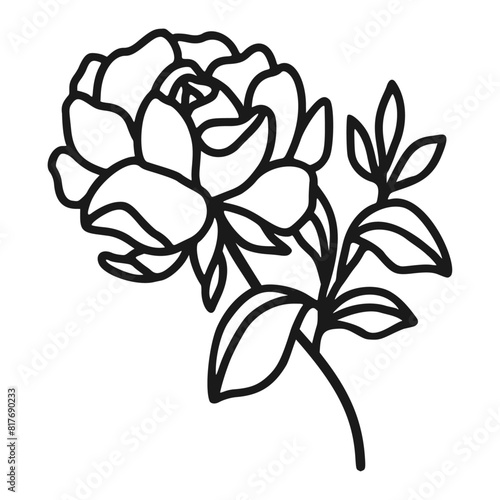 Set of hand drawn minimalistic rose flower, peony, and leaf vector logo elements, icon, and illustration for feminine brand or beauty product (ID: 817690233)