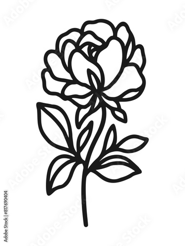 Set of hand drawn minimalistic rose flower, peony, and leaf vector logo elements, icon, and illustration for feminine brand or beauty product (ID: 817690404)