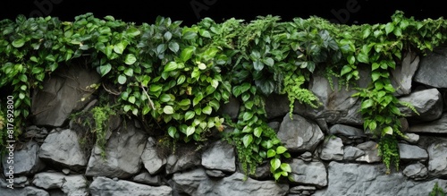 Background of plants with a natural stone wall as a copy space image
