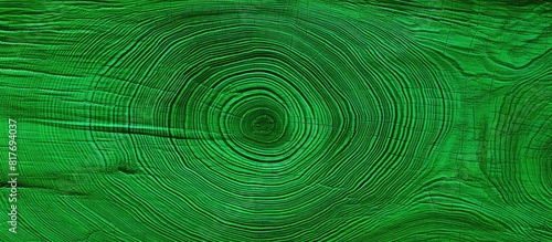 An abstract background is displayed with a vibrant green color and a unique wood texture in the cut providing a copy space image