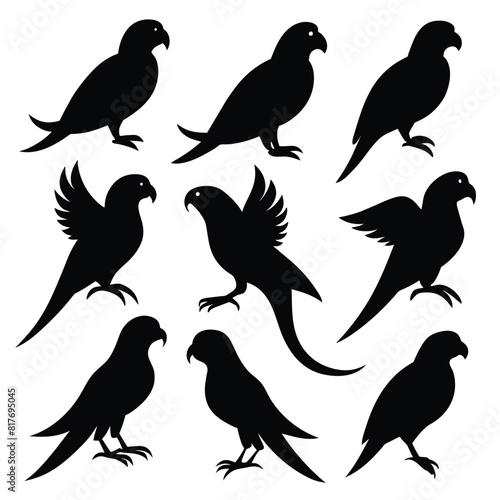 Set of parrot animal Silhouette Design and Vector Illustration on white background