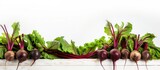 Beetroot plants arranged on a white wooden table with ample empty space around them for a copy space image